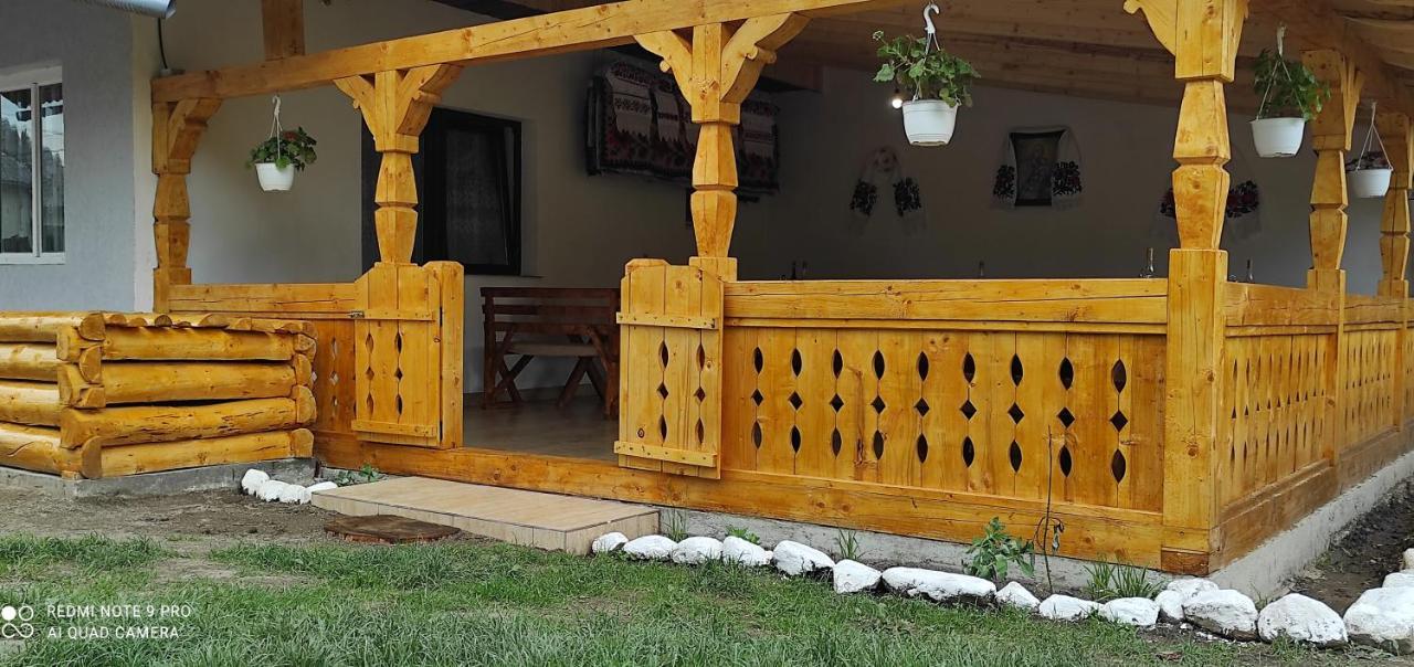 La Lenuta In Susani Breb المظهر الخارجي الصورة